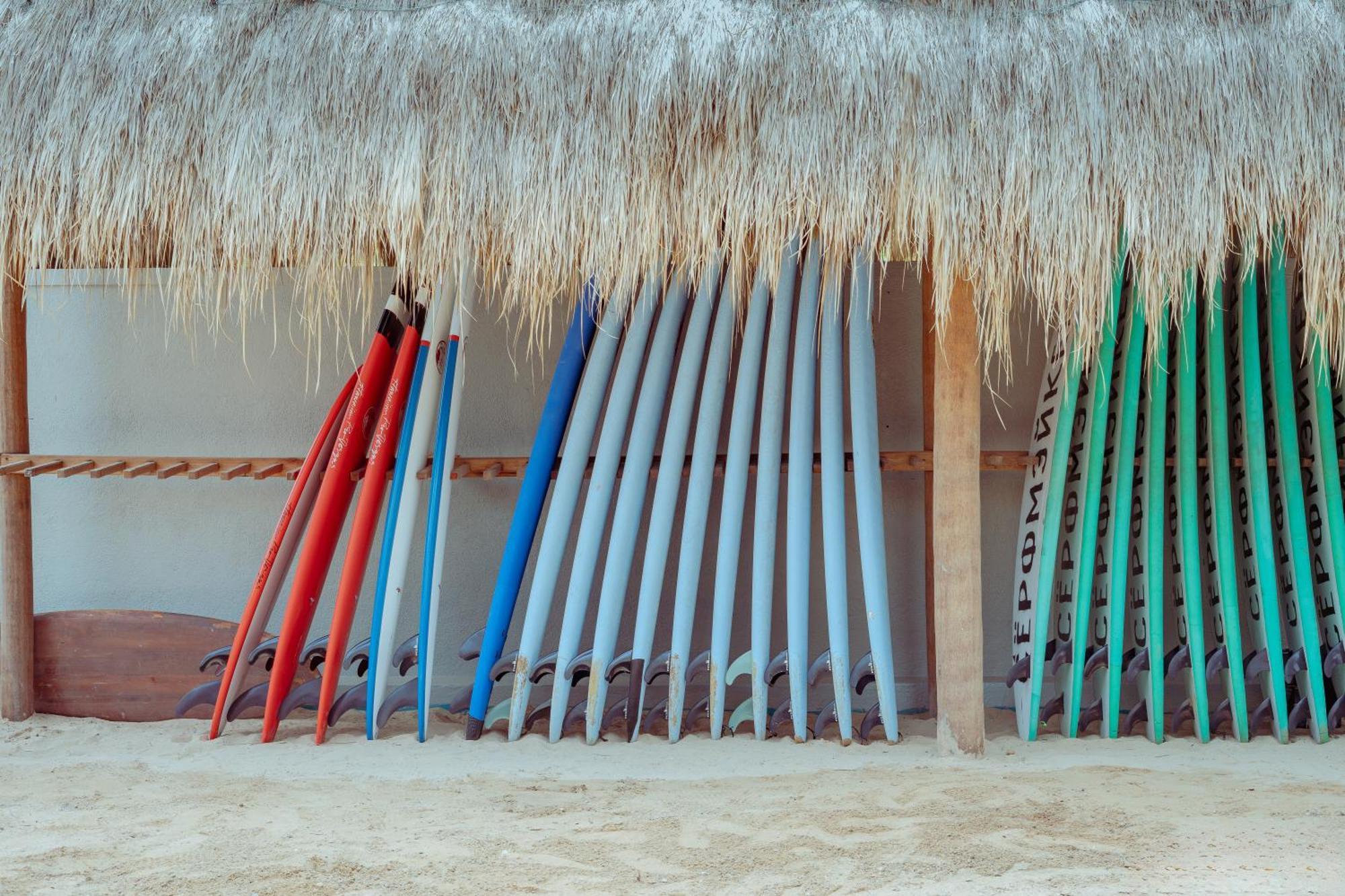 The Surf & Yoga Camp - On The - Prime Location Renovated 2024