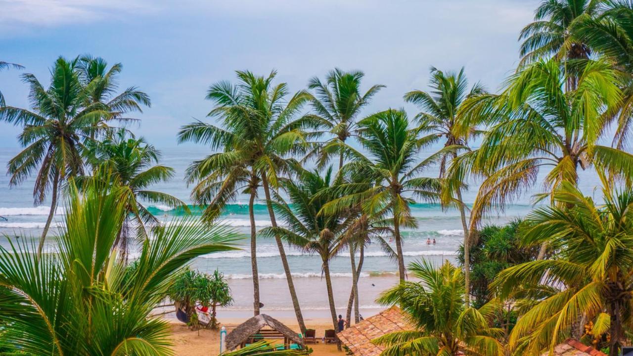 Resort The Surf & Yoga Camp - On The - Prime Location Renovated 2024 Weligama
